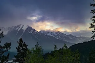 雪帽山，森林，白天，照片，棕色，山，覆盖，雪