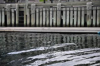 哈利法克斯，风景，码头，港口，水，春天，无人，白天