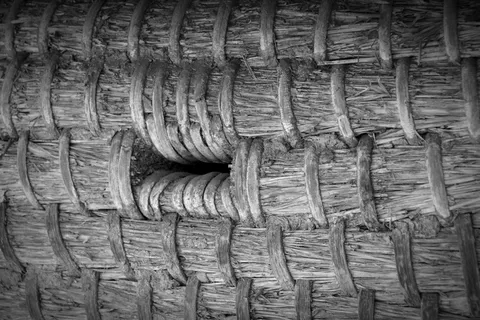 蜂箱，蜂蜜，蜂箱，养蜂，养蜂，养蜂人，养蜂，没有人