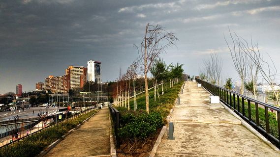 智利，quinta normal，parque River padre renato Poblette，城市，道路，树，路径，公园