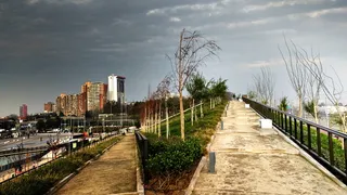 智利，quinta normal，parque River padre renato Poblette，城市，道路，树，路径，公园