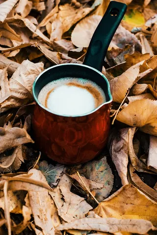 干叶棕色土耳其杯