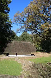 不来梅，市民公园，不来梅bürgerpark，动物围栏，秋天，自然，公园，田园诗