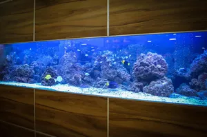 水族馆、鱼、水、动物、水下、礁石、海洋、珊瑚