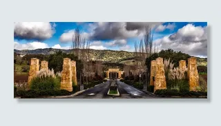 山、路、树、酒厂、纳帕谷、加州、葡萄园、农业