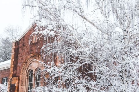 白色，雪，雪，冬天，寒冷，仙境，圣诞节，圣诞节