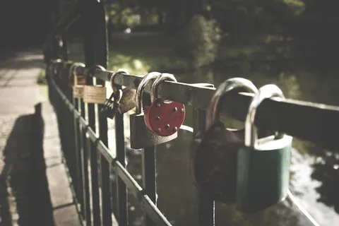 木材、景观、自然、水、桥梁、日光、环境、围栏