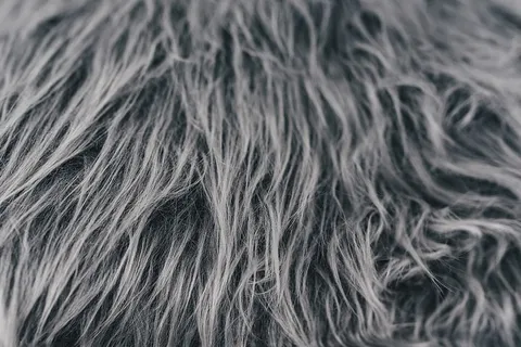 斯堪的纳维亚枕头