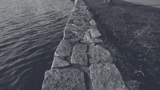 黑白、树木、明亮、黑色、石头、水、黑白、构图