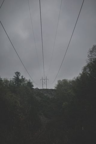 电缆、电力、天空、树木、植物、连接、电力线、技术