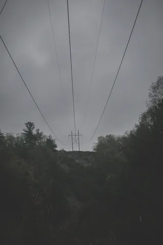 电缆、电力、天空、树木、植物、连接、电力线、技术