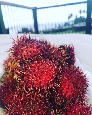 hana，美国，水果，毛伊岛，红毛丹，红色，特写，新鲜度