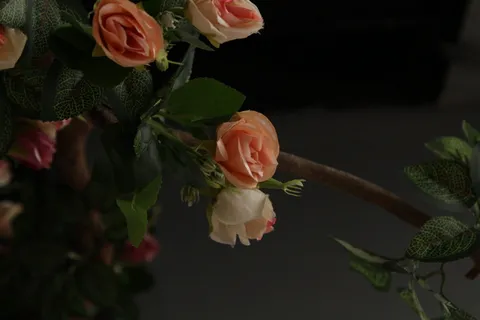 越南,河内,天空咖啡,树,植物,花,工作区,玫瑰 越南,河内,天空咖啡,树,植物,花,工作区,玫瑰