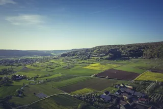 绿色、田野、晴朗、蓝色、天空、景观、自然、森林、草地