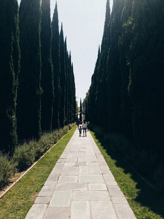 家庭、散步、牵手、博物馆、三星、粮食、电影、家长