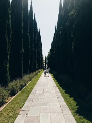 家庭、散步、牵手、博物馆、三星、粮食、电影、家长