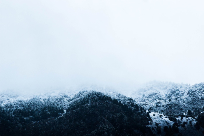 山，树，有盖，雪，白天，照片，绿色，叶子