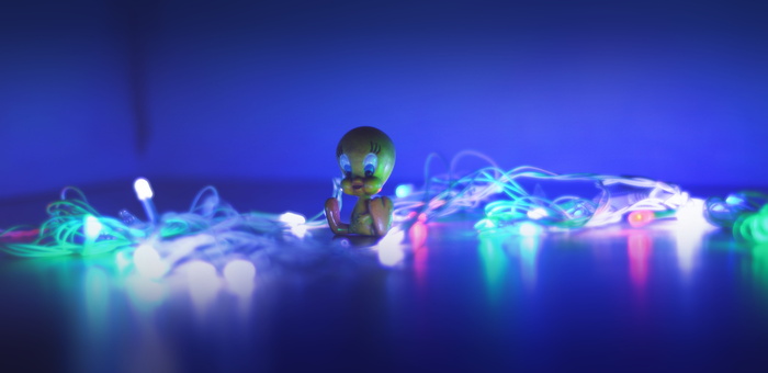 推特、小鸟、黄色、卡通、可爱、小、仙女灯、紫色