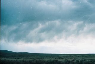 白天白云下绿叶树木