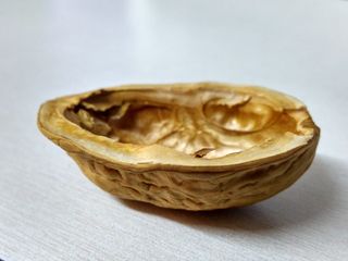 棕色胡桃木外套