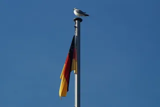 德国，国旗，风，飘动，天空，低角度视图，动物，动物主题