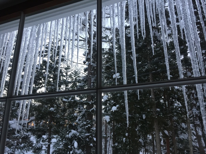 雪, 冬天, 冰冷, 冰冻, 泽, 冰, 自然, 寒冷