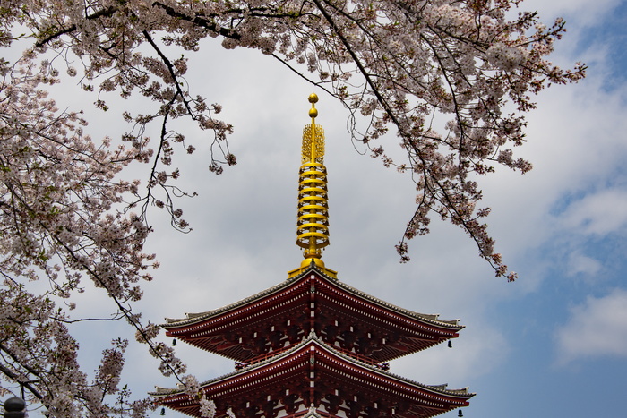 黄塔