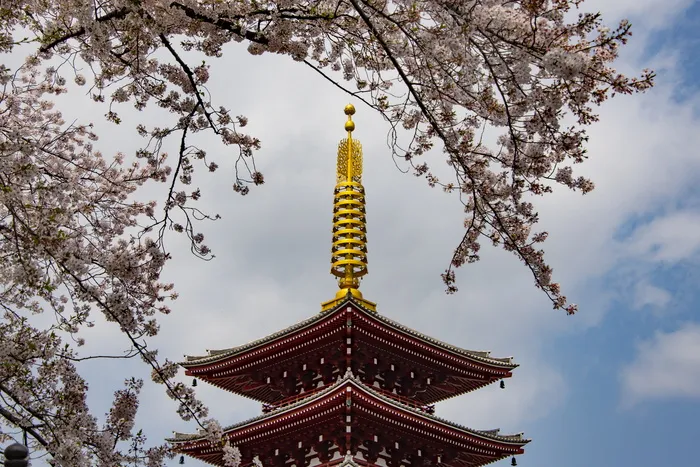 黄塔