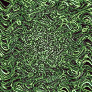 背景，纹理，有机，图案，外星人，结构，生物，外星人