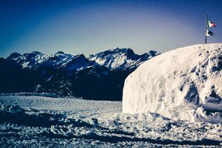 意大利、麝香猫、福里斯特、大自然、阿尔卑斯山、寒冷、高山、户外