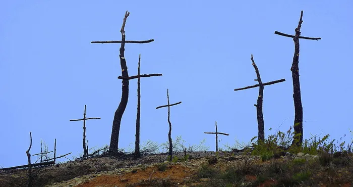 森林火灾、烧毁、山地、退化、烧毁山地、死亡、艺术十字架、柴火烧毁