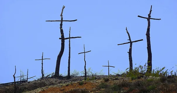 森林火灾、烧毁、山地、退化、烧毁山地、死亡、艺术十字架、柴火烧毁 森林火灾、烧毁、山地、退化、烧毁山地、死亡、艺术十字架、柴火烧毁