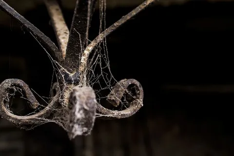 墨西哥,帕茨夸罗,黑色,夜晚,旧的,新的,背景,蜘蛛网 墨西哥,帕茨夸罗,黑色,夜晚,旧的,新的,背景,蜘蛛网