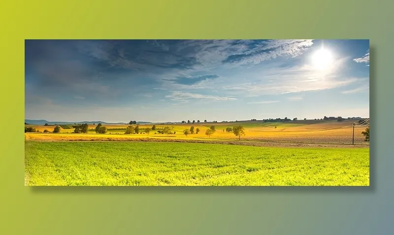 绿色，田野，树木，蓝色，天空，风景，春天，田野