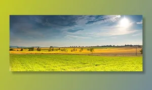 绿色，田野，树木，蓝色，天空，风景，春天，田野