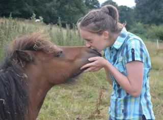 亲吻、共谋、爱、分享、哺乳动物、动物、动物主题、家畜