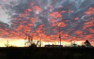 德意志，默尔费尔登·沃尔多夫，日落，天空，云天，树，剪影，橙色