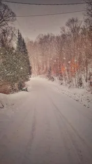 加拿大，洛杉矶，冬天，冬天仙境，寒冷，雪，树，路