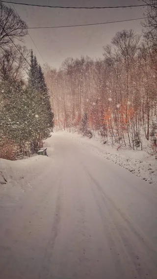 加拿大，洛杉矶，冬天，冬天仙境，寒冷，雪，树，路