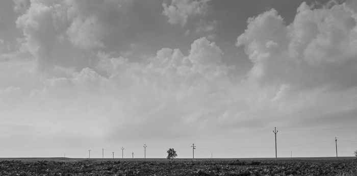czechia，most，bluesky，horizon，cloud，tree，blackandwhite，columns