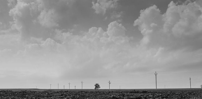 czechia，most，bluesky，horizon，cloud，tree，blackandwhite，columns