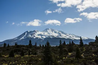 沙斯塔山，加利福尼亚州，加利福尼亚州，北部，沙斯塔山，加利福尼亚州，北部，山，景观，雪