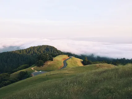 绿色,草地,晴朗,天空,地形,白天,景观,草 绿色,草地,晴朗,天空,地形,白天,景观,草