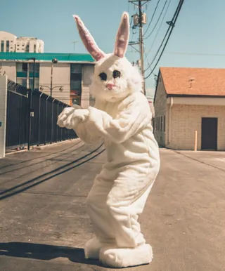 戴兔子吉祥物的人