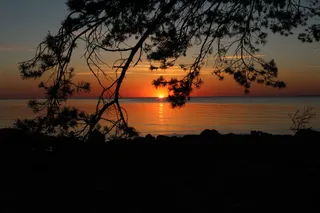 日落，爱沙尼亚，天空，海洋，宁静，风景-自然，自然之美，宁静的景色