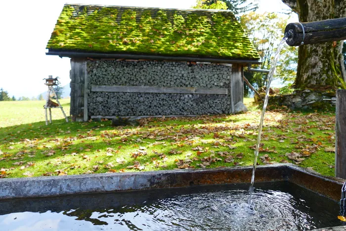 喷泉、木材、存货、小屋、天平、小木屋、水、饮料