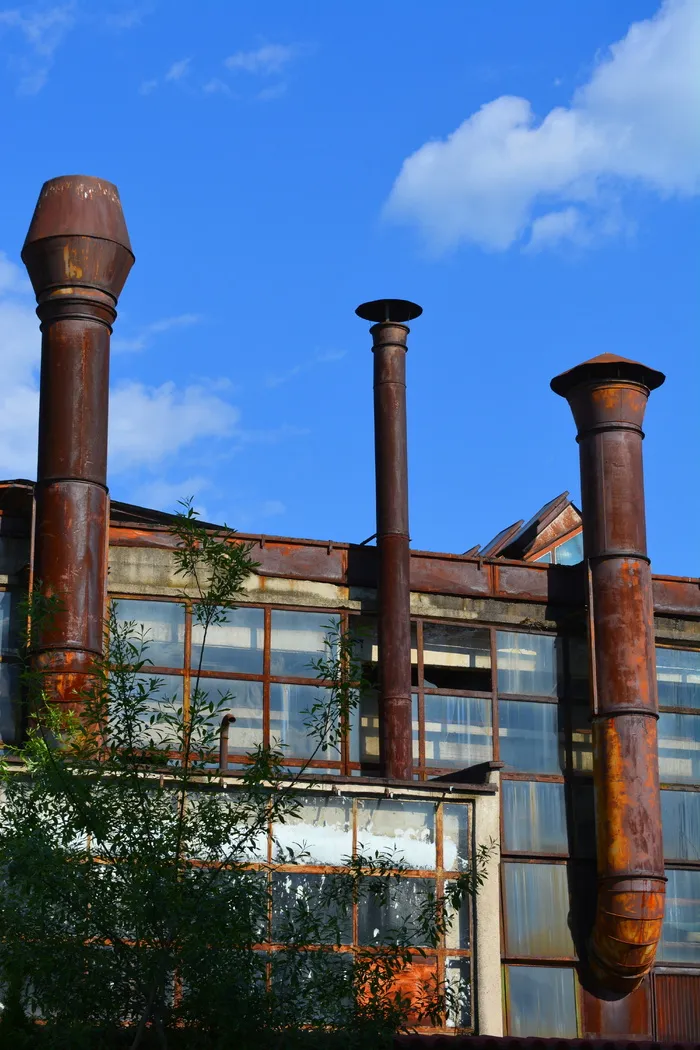 植物、陈旧、毁坏、退化、覆盖、篮子、金属、锈病