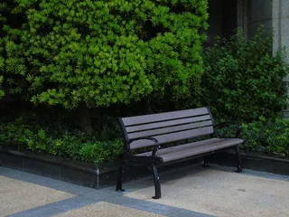 思考，孤独，椅子，失踪，座位，植物，长凳，成长