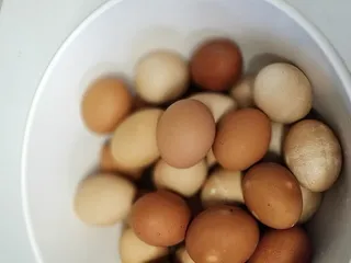 美国、刘易斯敦、棕色、煮沸、煮沸、硬质、染色、白色