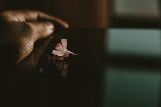 粉红色花瓣的弱光照片